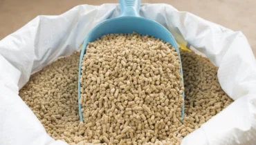 Animal Feed Production